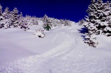 For those looking for a challenge, try Wengen’s unpisted back country